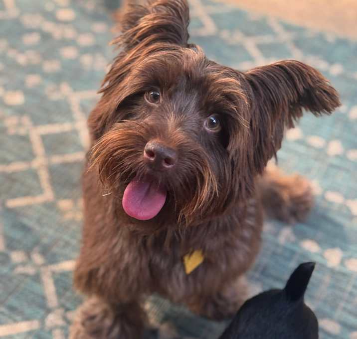 Photo of Charlie Brown