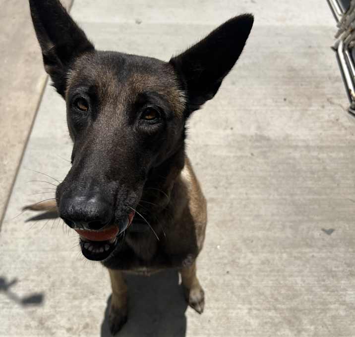 Photo of Cali