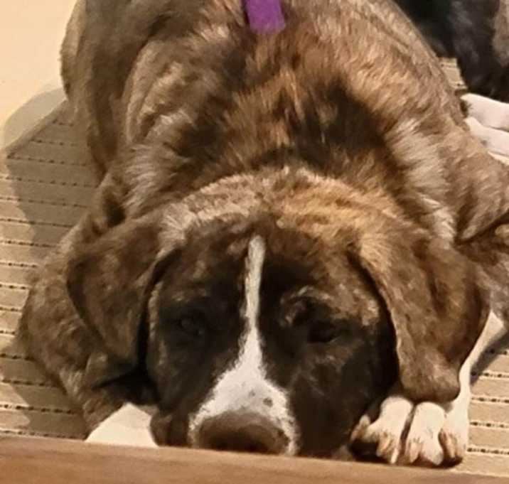 Photo of Ernie