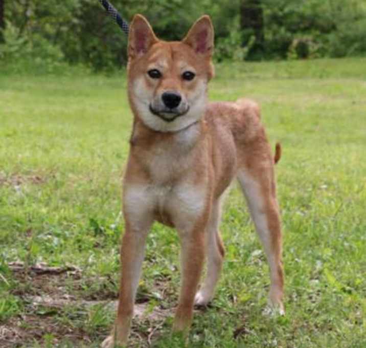 Photo of Kee Kee