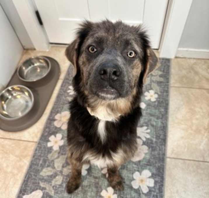 Photo of Olive