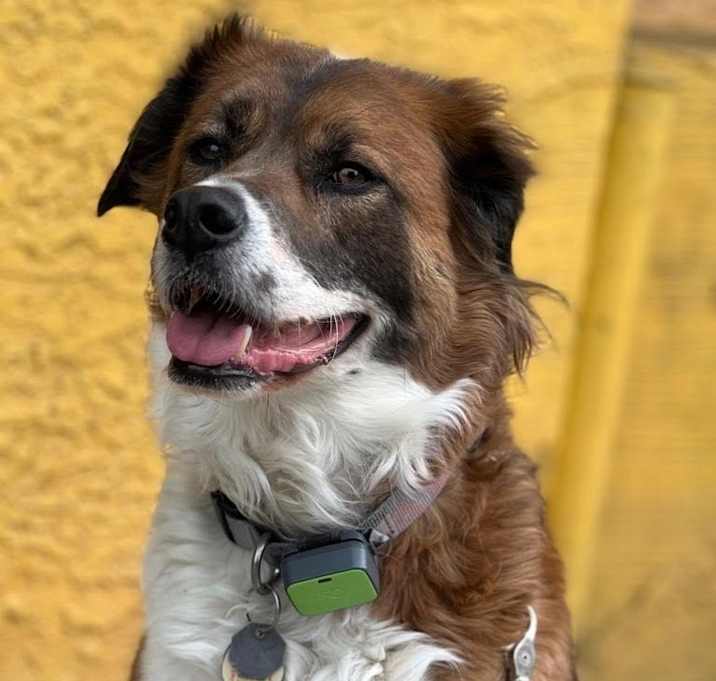 Photo of Aaden