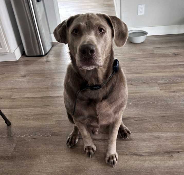 Photo of Tuck