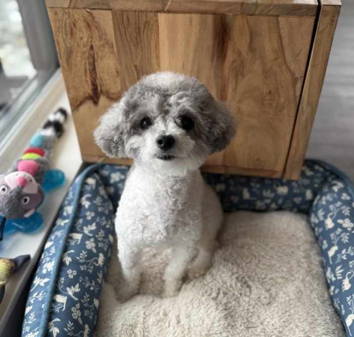 Photo of Dollar * In Foster *