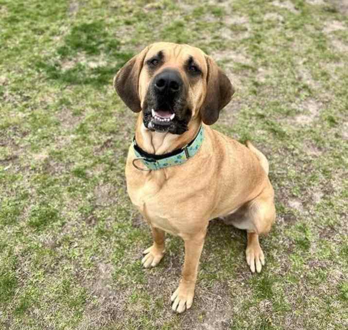 Photo of Daisy