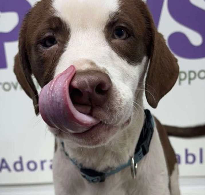 Photo of Tyson