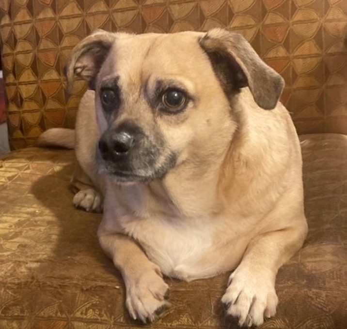 Photo of Tiny