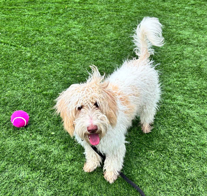 Photo of Peggy