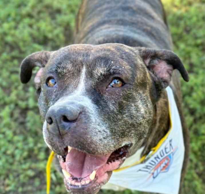 Photo of Athena