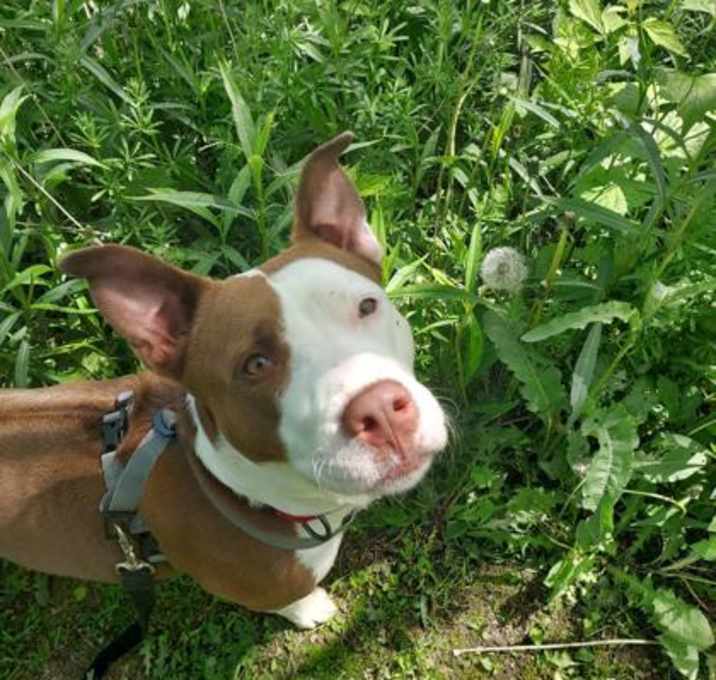 Photo of Cora