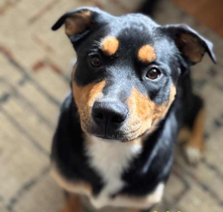 Photo of Ella