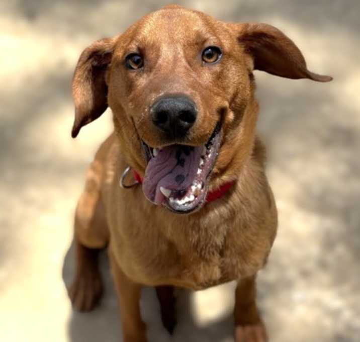 Photo of Winston