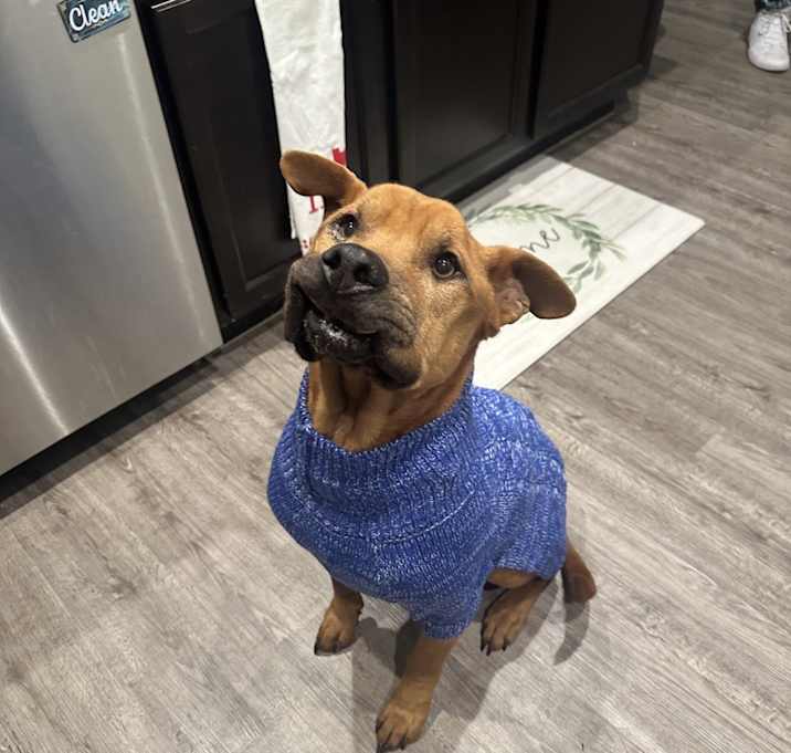 Photo of Stoney