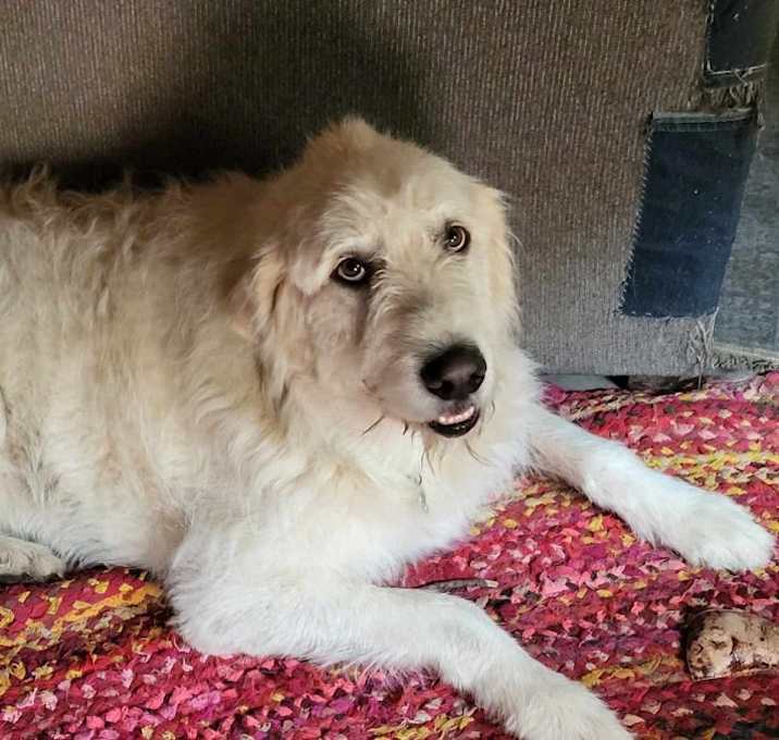 Photo of Sandy