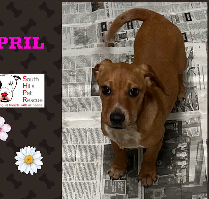 Photo of April