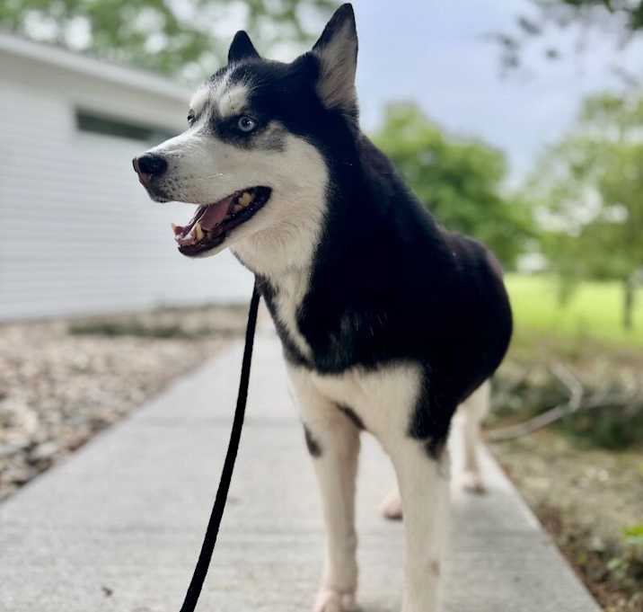Photo of Kyra