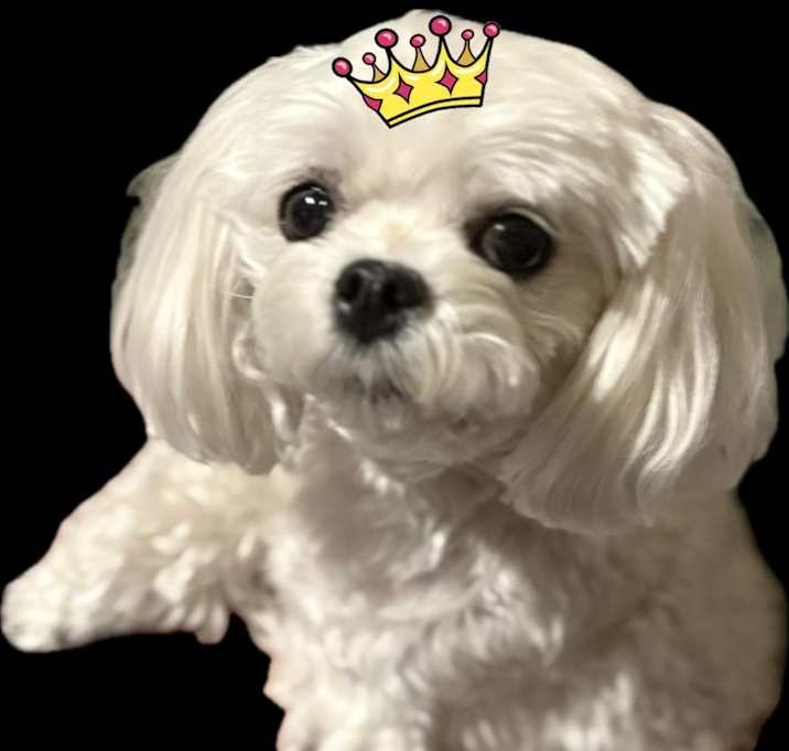 Photo of Pauly