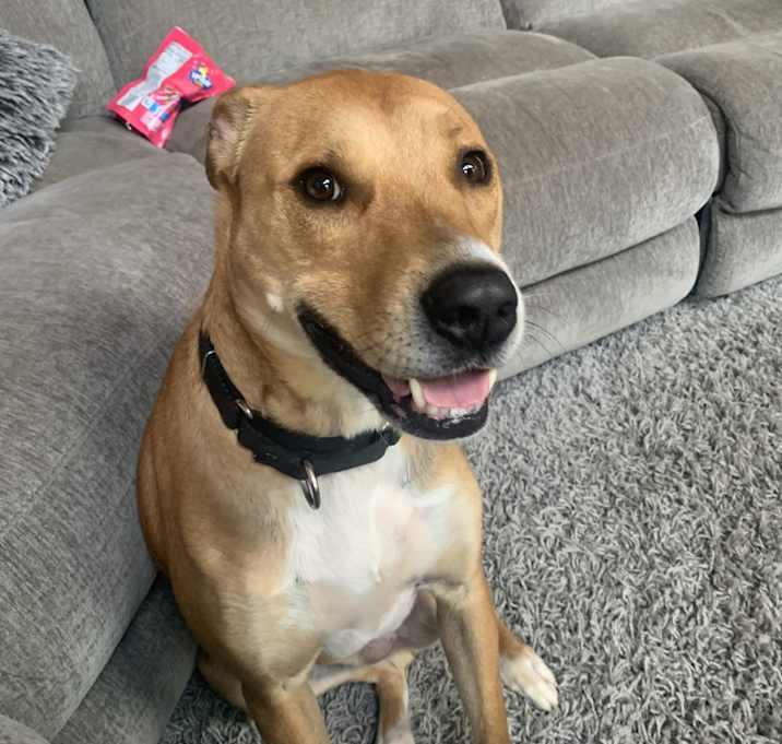 Photo of Diesel
