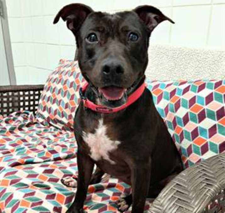 Photo of LAYLA