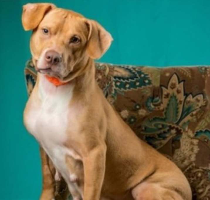 Photo of Ellie/Juno