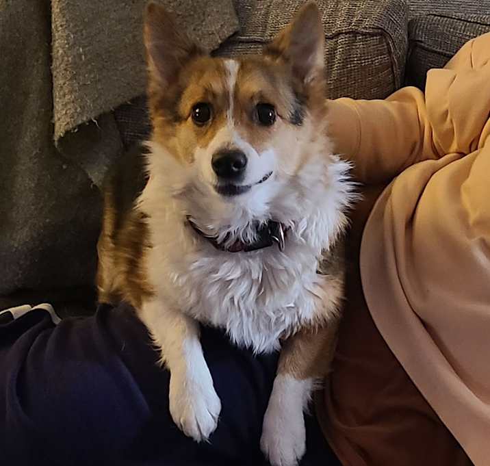 Photo of Wrigley