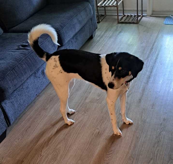 Photo of Sammie