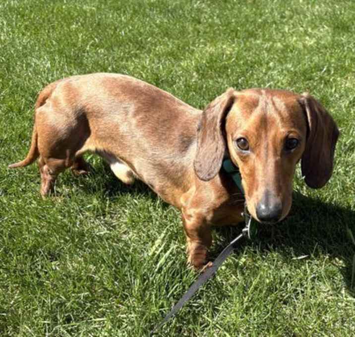 Photo of Howie