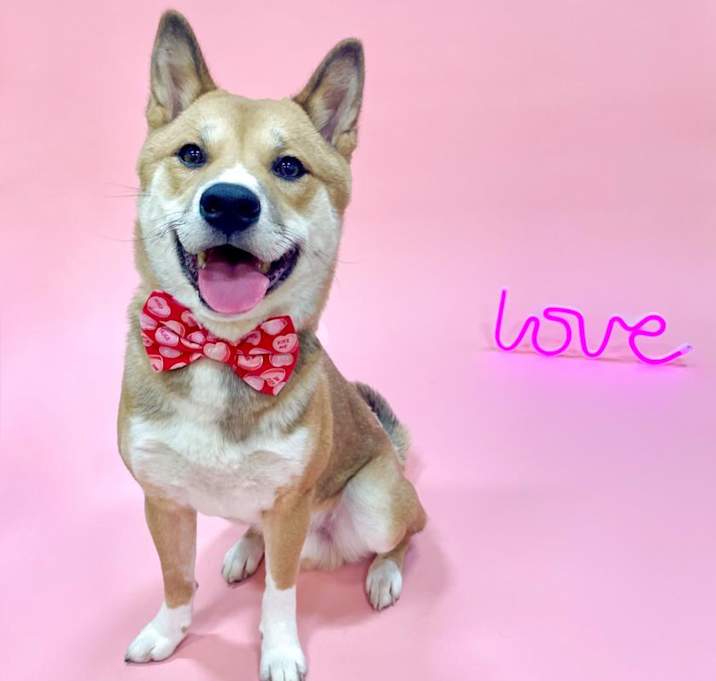Photo of COSMO