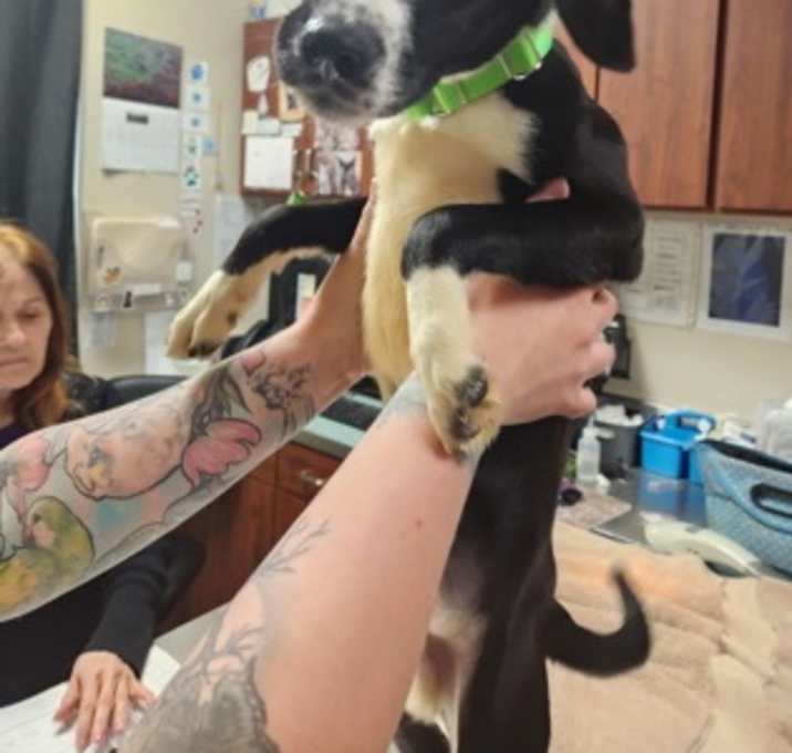 Photo of Gus Gus