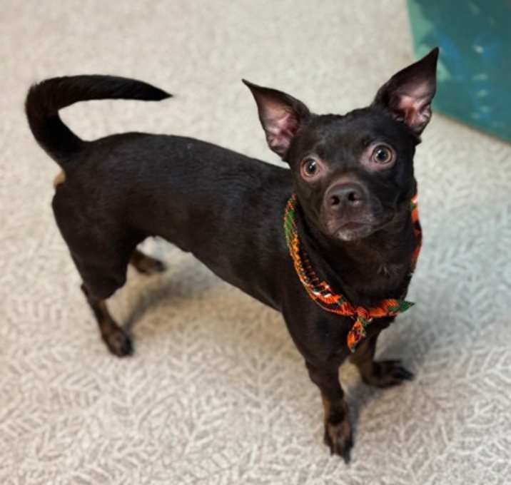 Photo of Cisco
