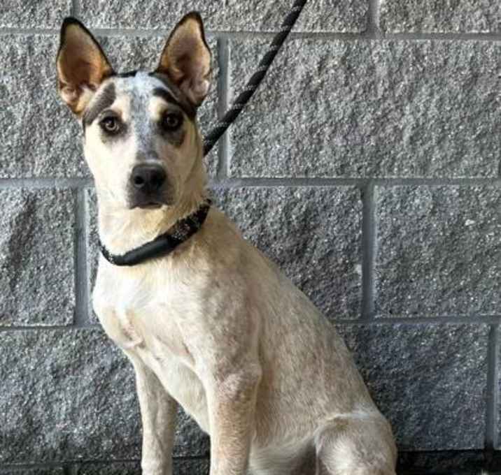 Photo of Malley