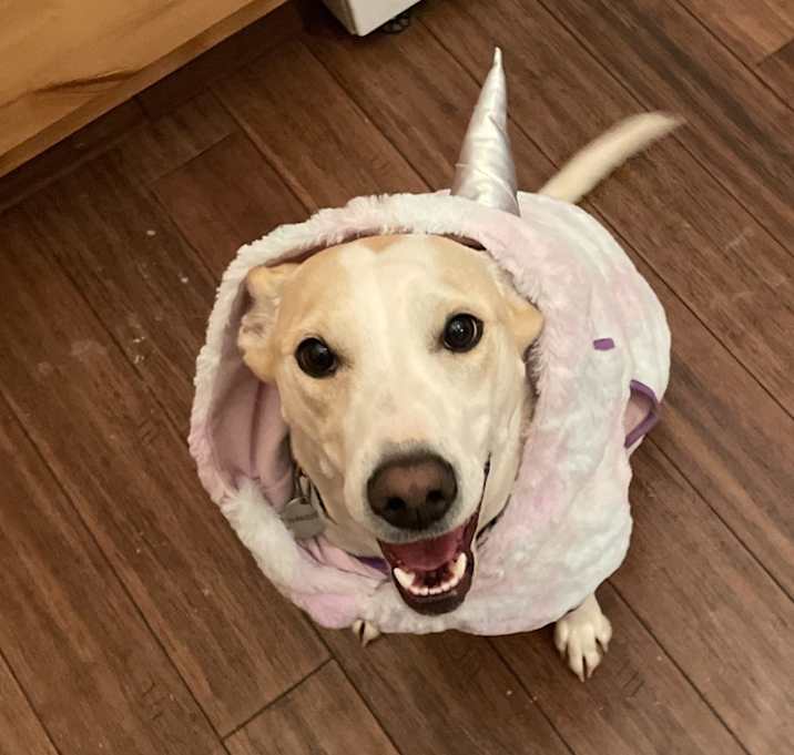 Photo of Murph