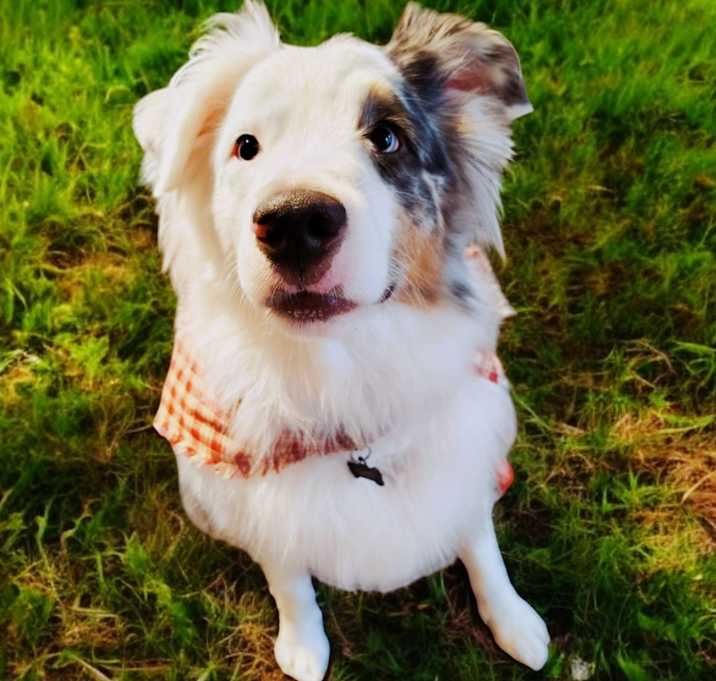 Photo of Troy