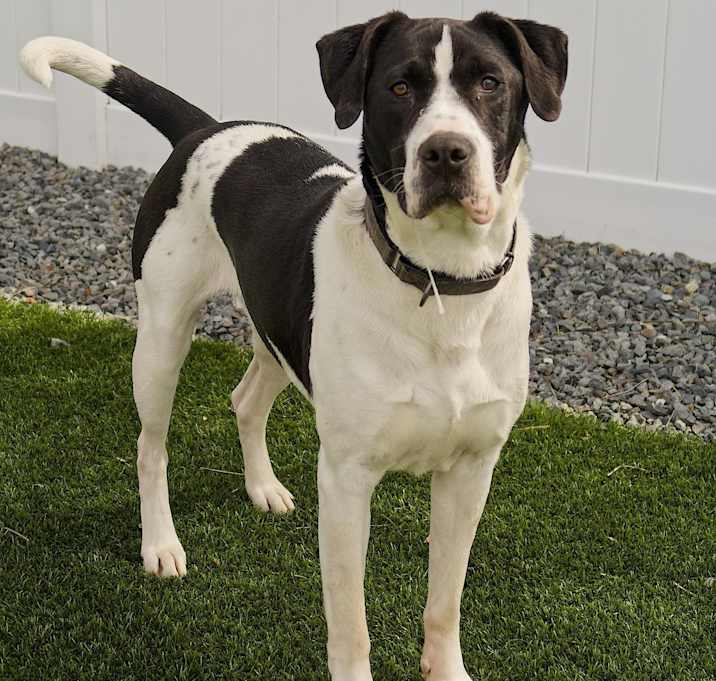 Photo of HUGO