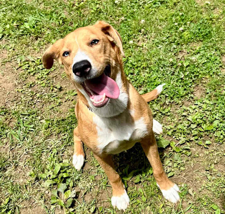 Photo of Maggie