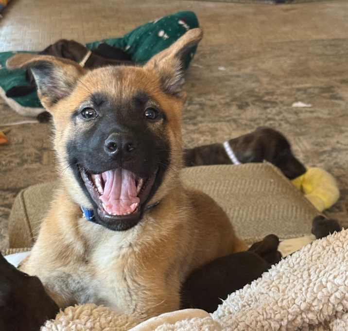 Photo of OAKLEY