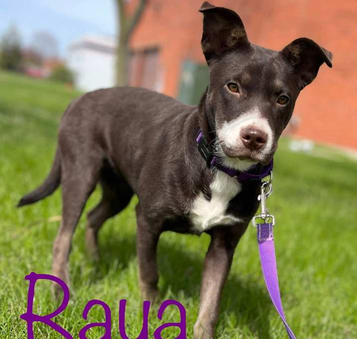 Photo of Raya