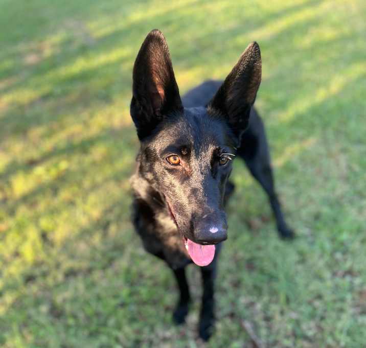 Photo of Heidi