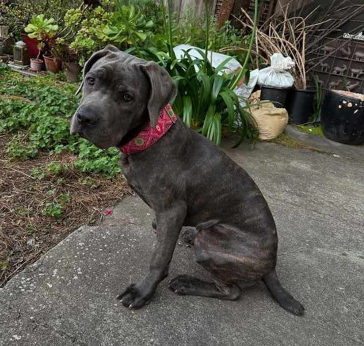 Photo of Bonnie