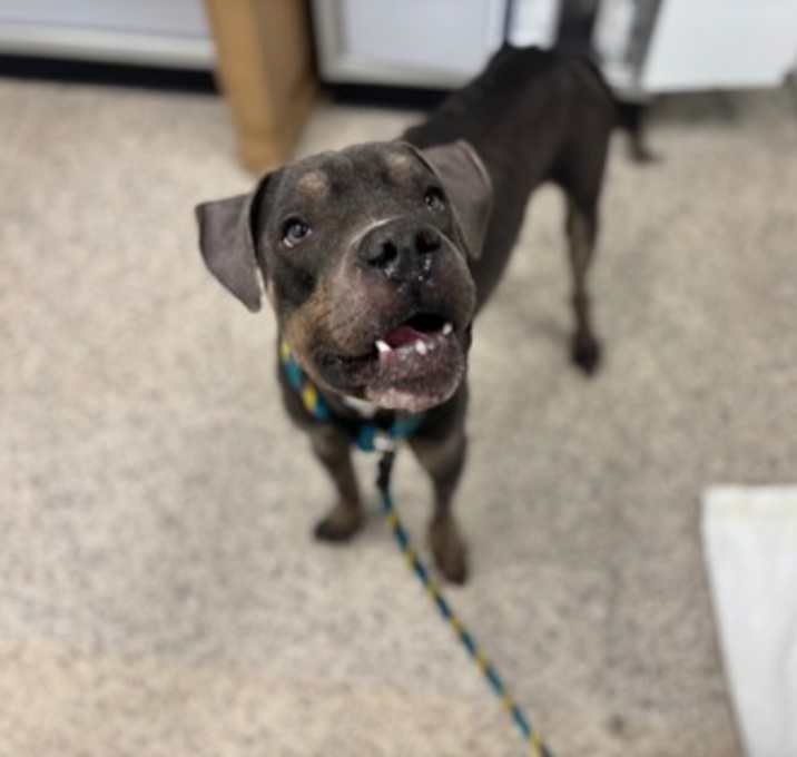 Photo of Slim Jim