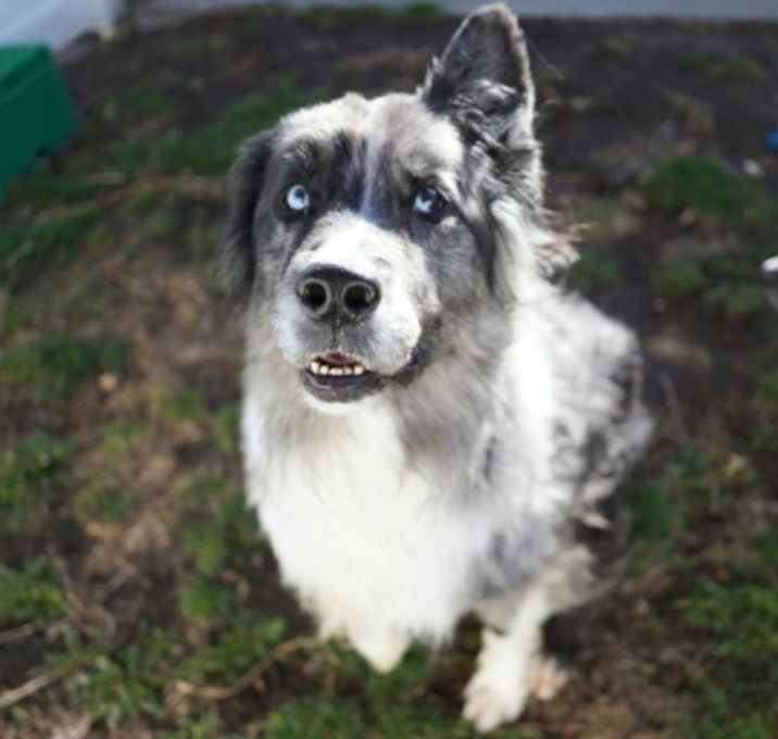 Photo of Bella