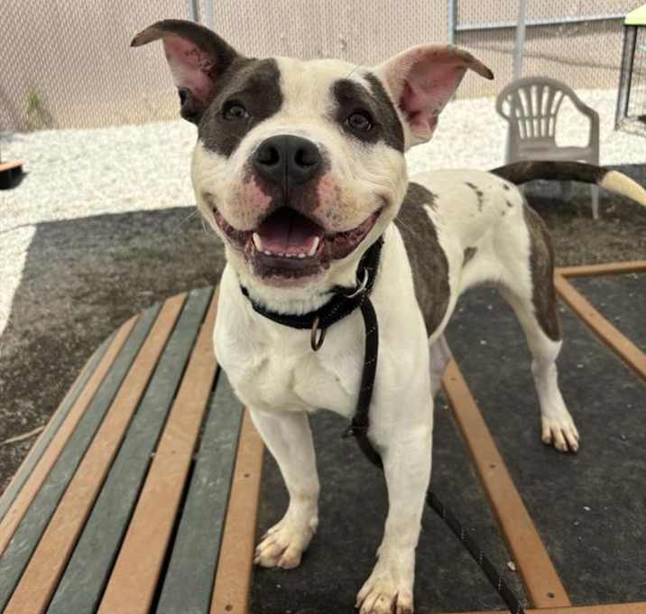 Photo of ROSCO