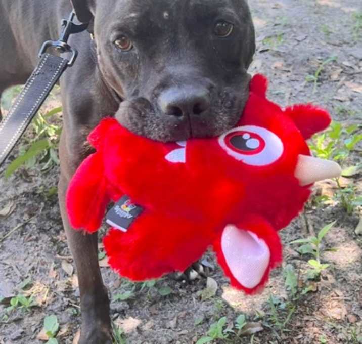 Photo of Max