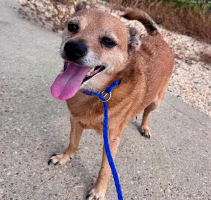 Photo of Oliver