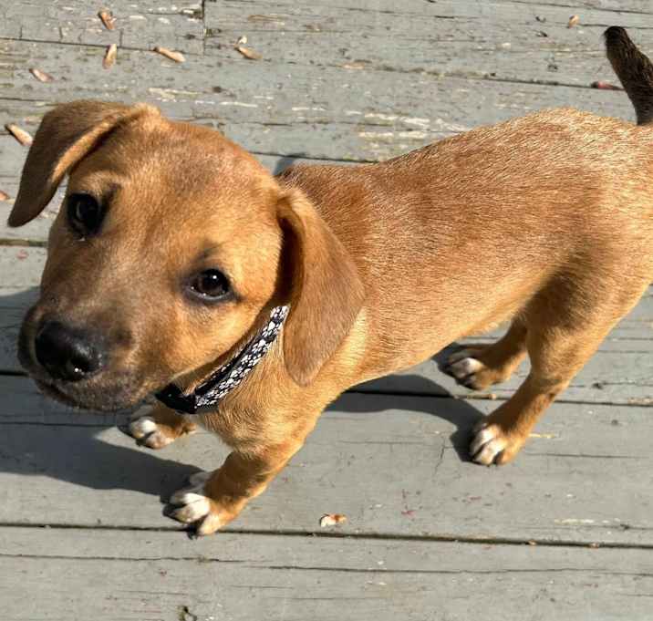 Photo of Libby