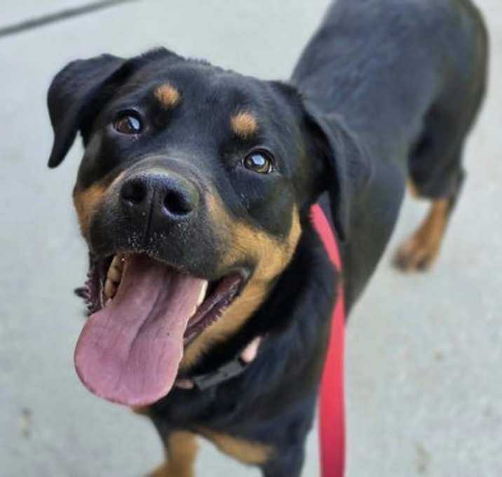Photo of Luna Ray
