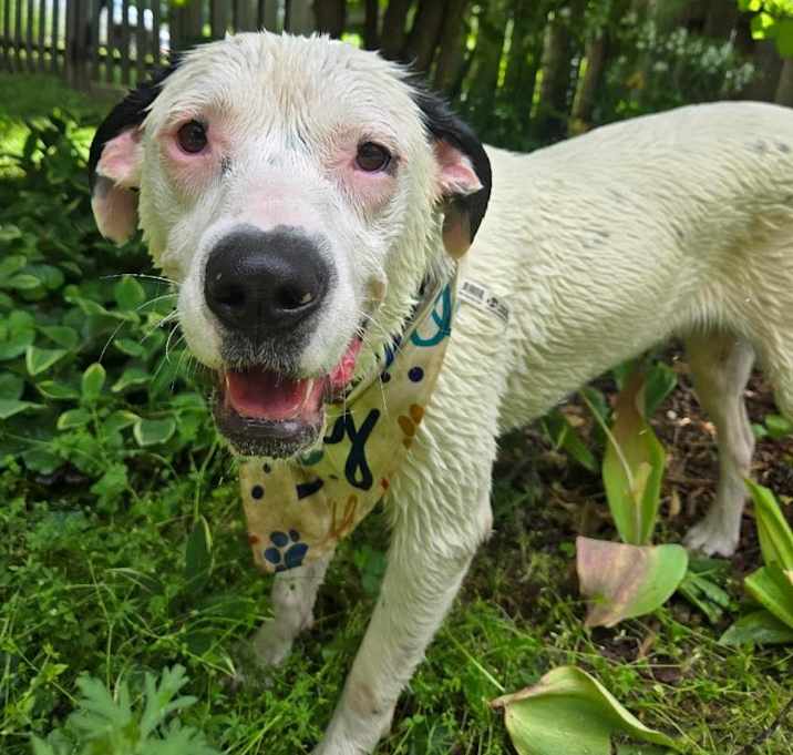 Photo of Parker