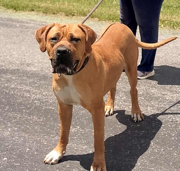 Photo of Dixie Doo 