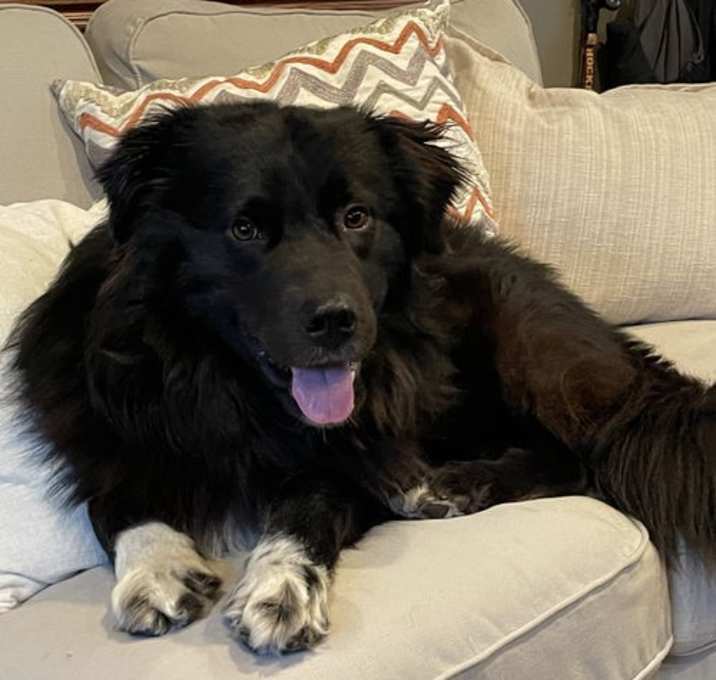 Photo of Ripley