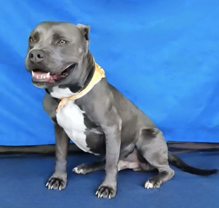 Photo of Twister